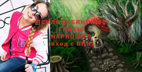 дмт Новокубанск