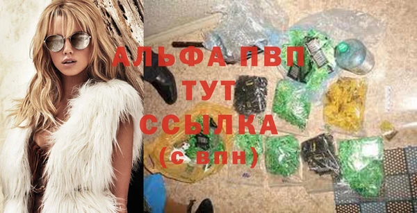дмт Новокубанск