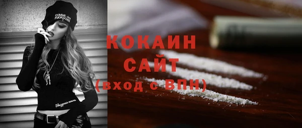 бошки Няндома
