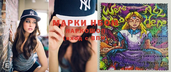 бошки Новодвинск