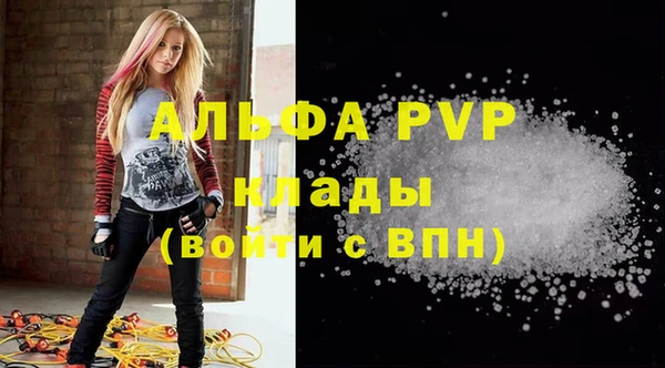 дмт Новокубанск