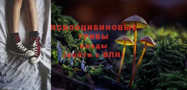 дмт Новокубанск