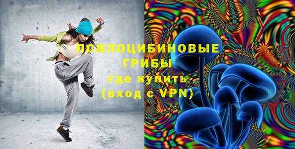 бошки Новодвинск