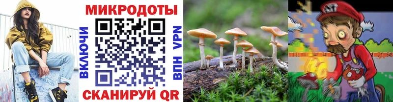 Галлюциногенные грибы Cubensis  Невинномысск 